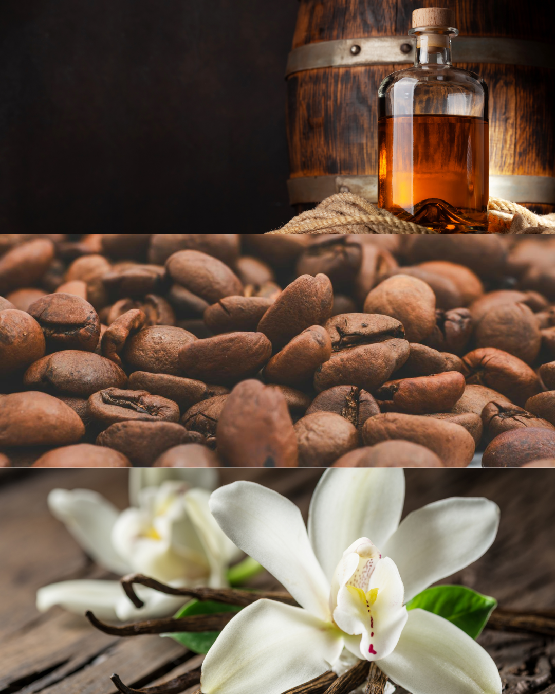 Vanilla Absolute